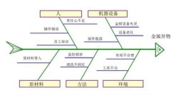 詳細講解！魚骨圖的繪制步驟與使用方法